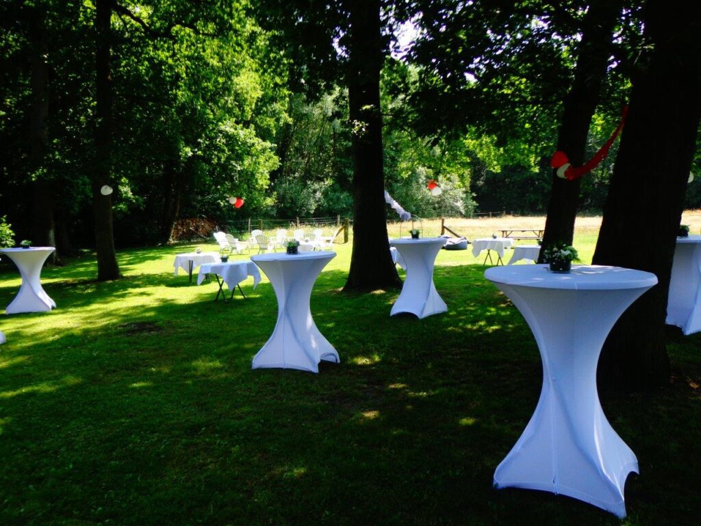 de zoeke foto's2 210